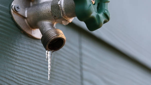 Best Plumbing Repair Near Me  in Kingston, IL