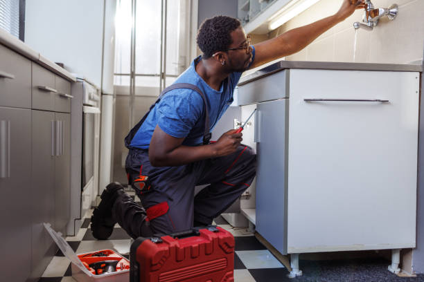 Best Clogged Drain Plumber  in Kingston, IL
